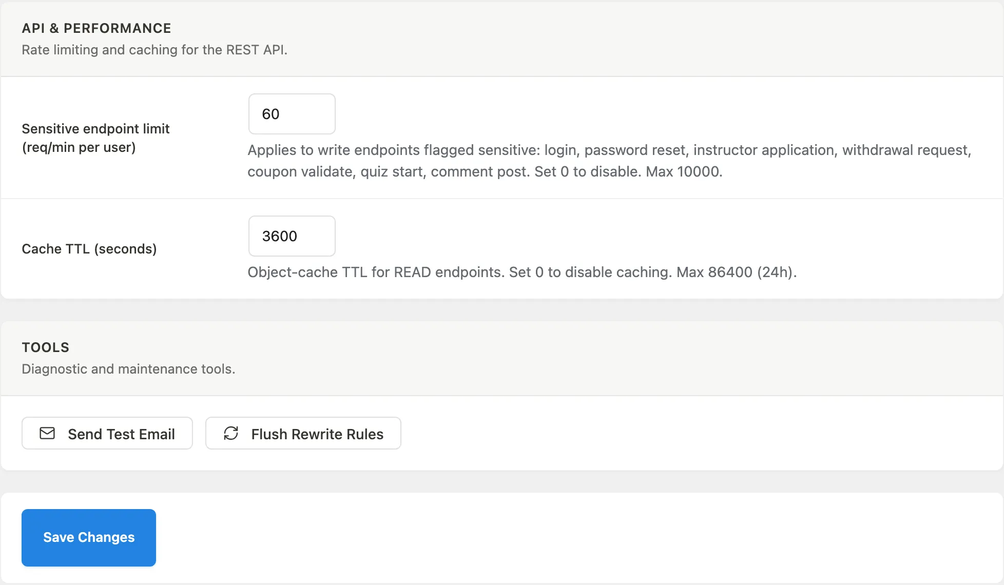 API and Performance section