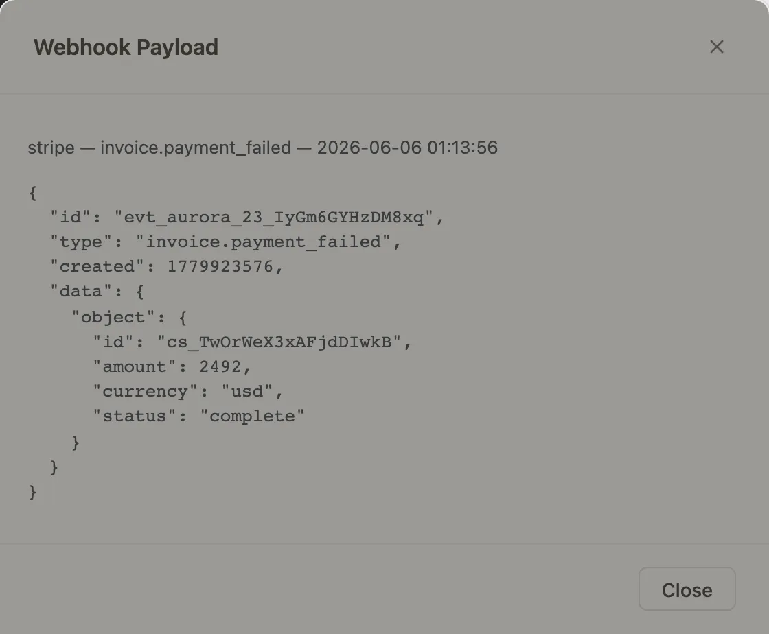 Payload modal detail
